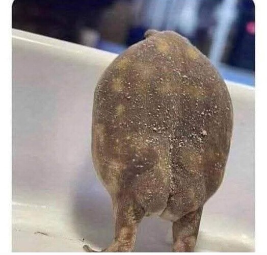 Screenshot_20250328-235831