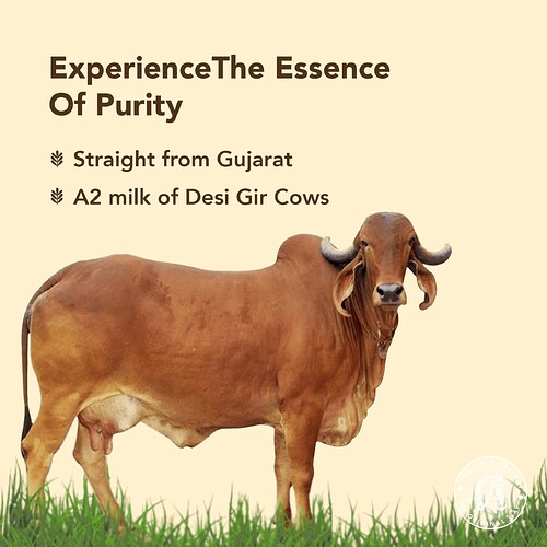 17327573406488244378857935958055