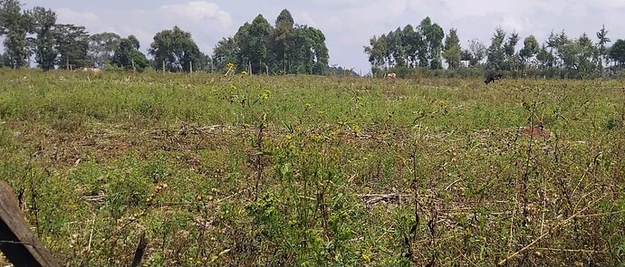 Screenshot_20260117_200630_Gallery