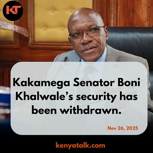 Copy of Blind Yield _20251126_142404_0000