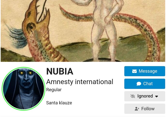 Screenshot_20251113_131539_Chrome