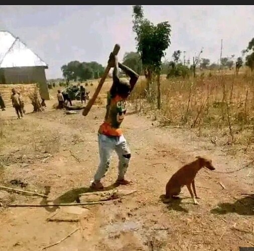 Screenshot_2024-12-21-07-34-22-751_com.brave.browser-edit