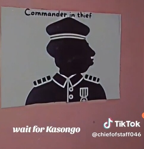 Screenshot_2024-12-12-20-07-41-372_com.duckduckgo.mobile.android-edit