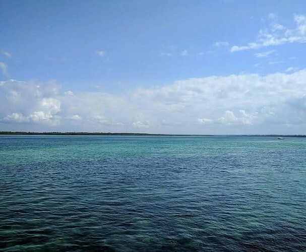 Screenshot_20250513_203022_Gallery