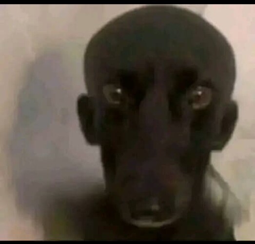 Screenshot_2025-08-05-07-03-50-716_com.whatsapp-edit