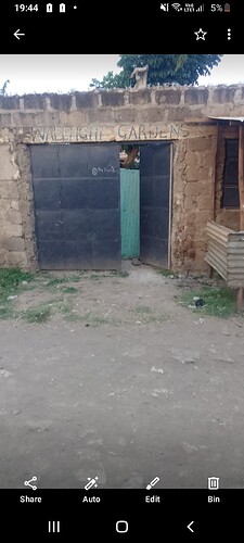 Screenshot_20241017-194446