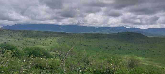 WhatsApp Image 2025-04-03 at 11.21.58