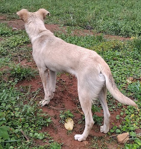 Screenshot_20251213_175931_Gallery