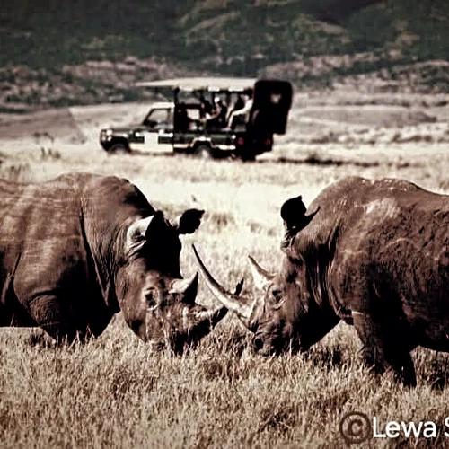 IMG_20250908_231211_224