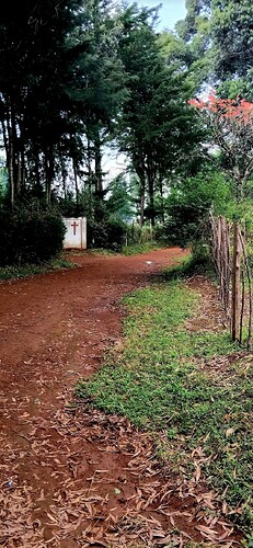 Screenshot_20260120_205218_Gallery