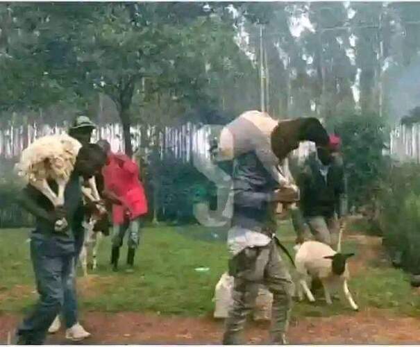 FB_IMG_1733067644918