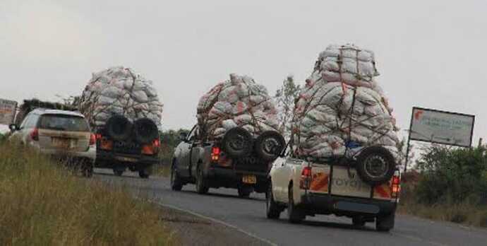 WhatsApp Image 2025-01-23 at 14.12.06_8e0f5e9f