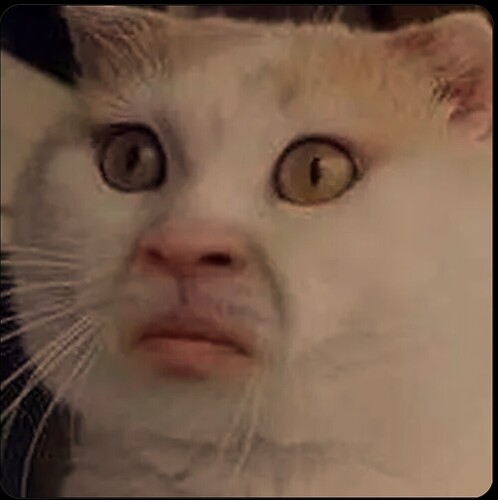 Screenshot_2024-11-07-16-12-41-620_com.opera.browser.afin-edit