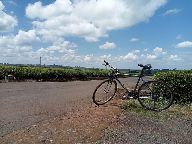 IMG20220828113618_01