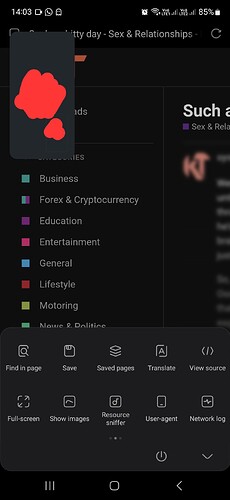 Screenshot_20250219_140305_Via