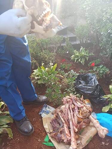 FB_IMG_1731134273042