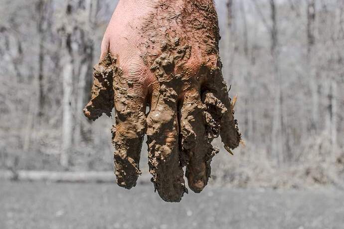 FB_IMG_1731221123388