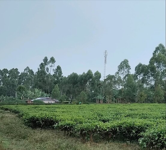 Screenshot_20250530_134309_Gallery