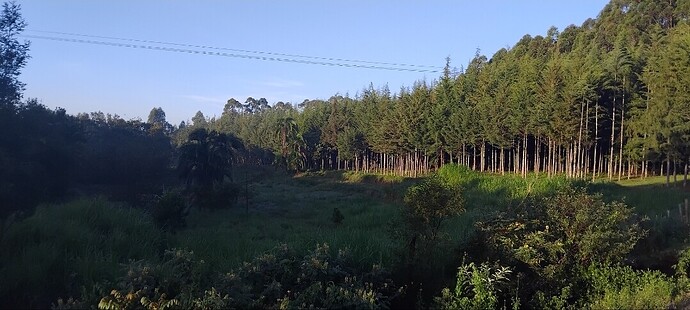 Screenshot_20251013_065522_Gallery