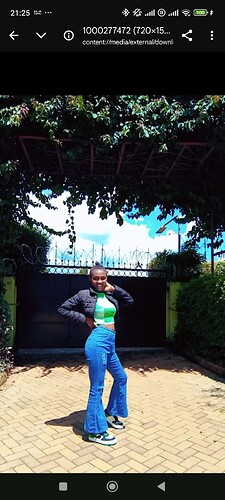 Screenshot_2024-12-06-21-25-36-666_com.android.chrome