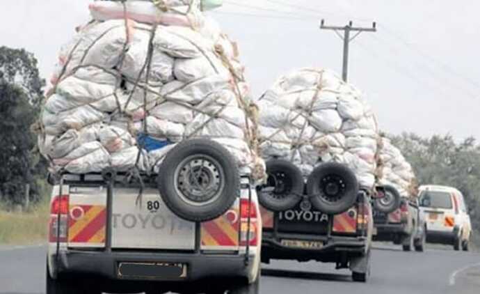 WhatsApp Image 2025-01-23 at 14.12.06_5ee431a6