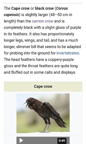 Screenshot_20240608-174926