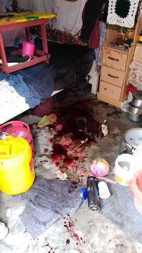 428679411_920178896479525_8906860731765650617_n