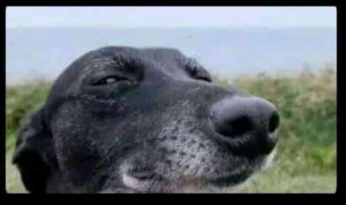 Screenshot_2024-09-13-18-24-54-717_com.whatsapp-edit