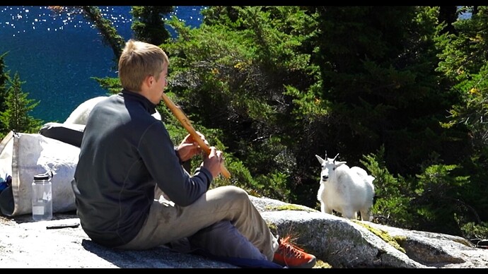 maxresdefault-68650593