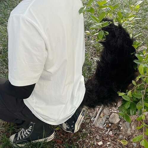 il_794xN.6307667124_qs5v