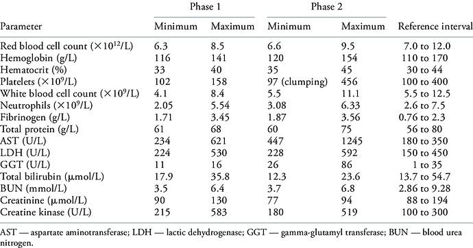 17275898994664174037843893493580