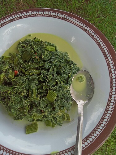 IMG_20240705_124700_220