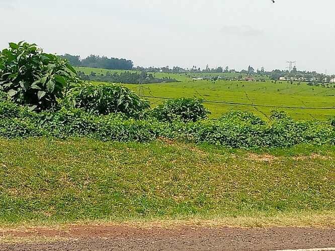 IMG_20241026_110600_425