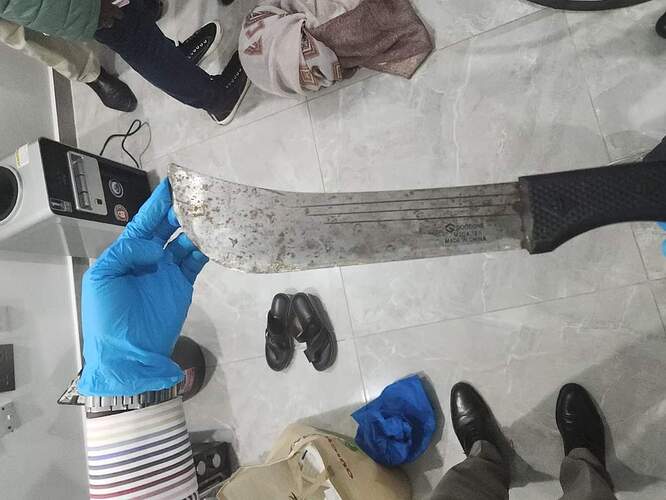 FB_IMG_1730995621968