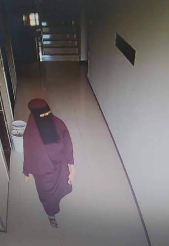 FB_IMG_1731134248892