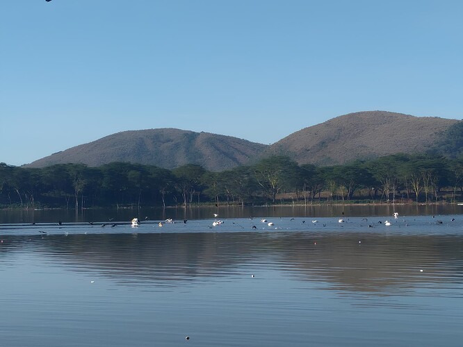 IMG_20190407_081130(2)