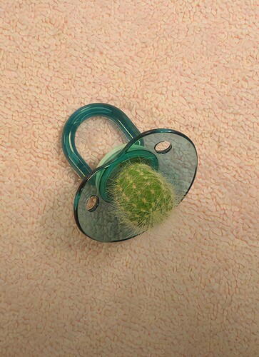 Screenshot_2025-03-15-18-42-13-32_e4424258c8b8649f6e67d283a50a2cbc