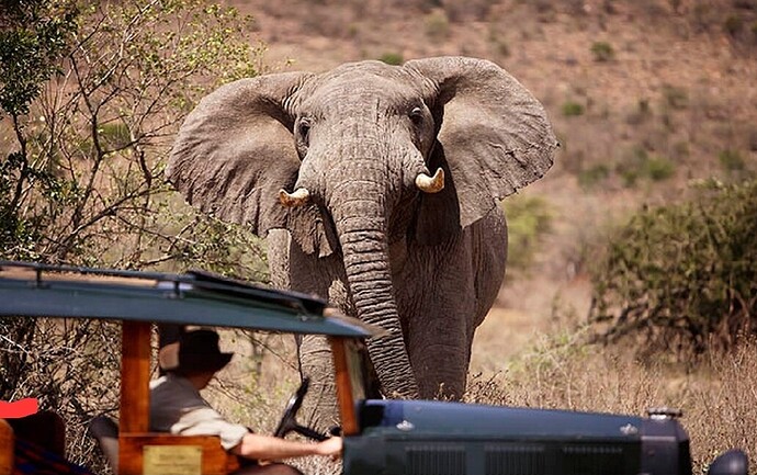 Screenshot_20250827_114344_Dropbox