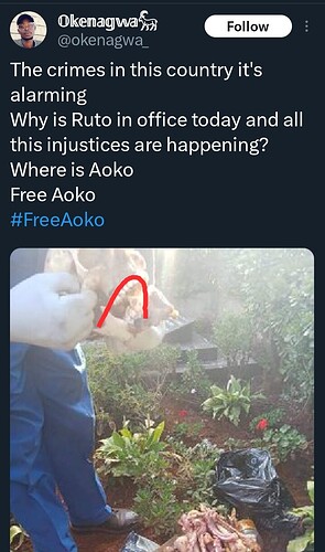 Screenshot_20241103-142039