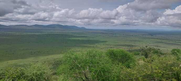 WhatsApp Image 2025-04-03 at 11.21.56