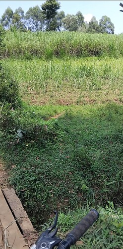 Screenshot_20251001_173214_Gallery