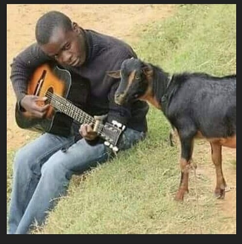 1a46147fc4f1af7203c861d2cb7ce345adeb5092_2_994x1000