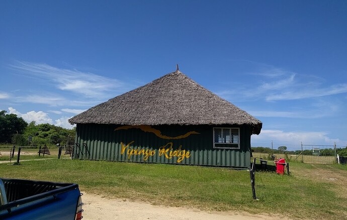 Screenshot_20250825_083549_Brave