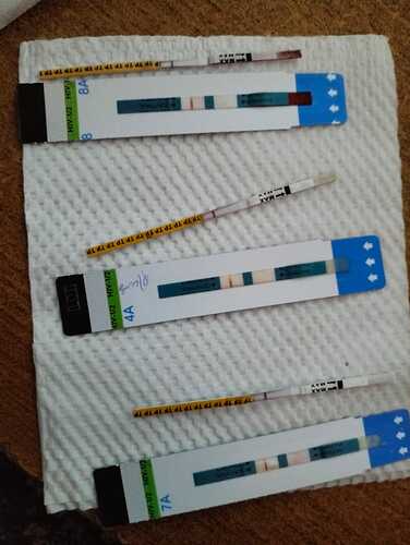 WhatsApp Image 2024-07-15 at 22.10.45_3b107055