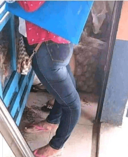 Screenshot_20230120-080441