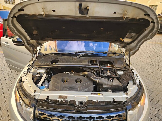 FB_IMG_1750246659957