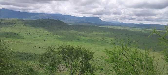 WhatsApp Image 2025-04-03 at 11.21.54