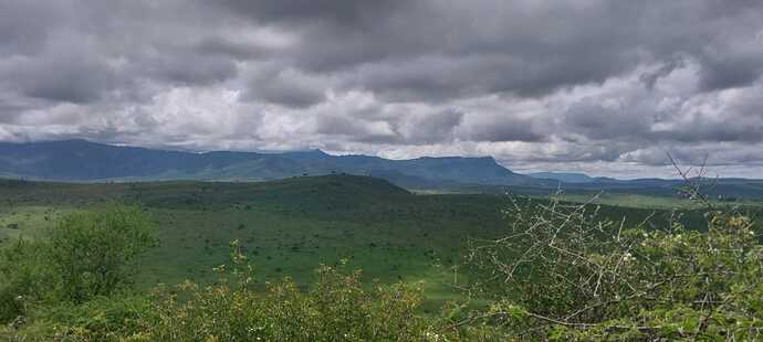 WhatsApp Image 2025-04-03 at 11.21.59