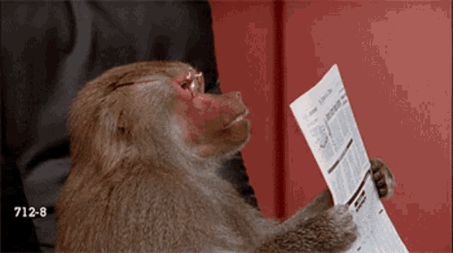 reading-monkey.gif