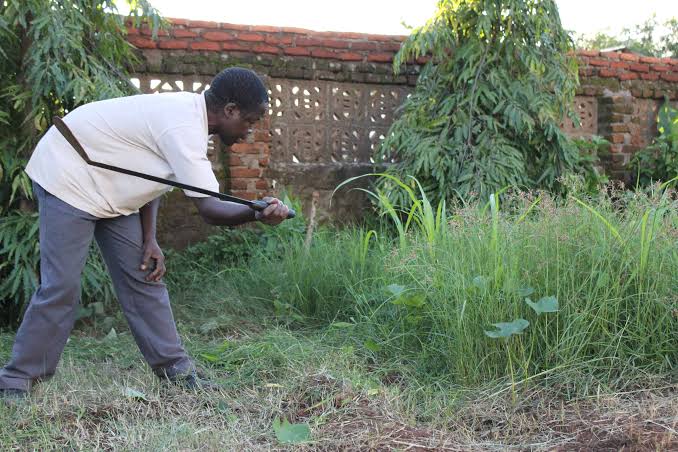 17437114907774718847960862890316